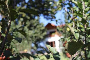 Фото номера Дом для отпуска Фермерские дома La Casa Boierului г. Cătunele 12